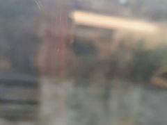 -岳阳东站