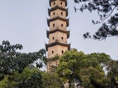 -江心屿景区