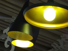 -大家乐(深圳中信店)