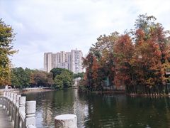 -荔湾湖公园