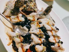 古法蒸老虎斑-利苑酒家(金宝店)