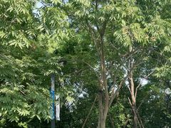 -上海长江河口科技馆