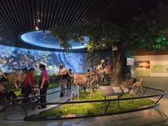 -安徽省地质博物馆