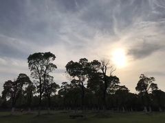 -艾溪湖湿地公园