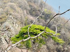 -秦岭终南山世界地质公园翠华山景区