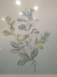 -颜蕾医美·黄金微针·水光·玻尿酸·超声炮·抗衰中心