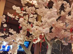 -蓝鲸湾汤泉(包河店)