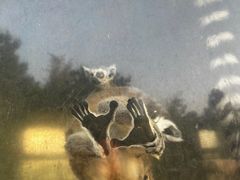 -泉州海丝野生动物世界