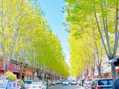 -洛阳市隋唐城遗址植物园