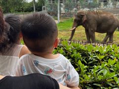 -西安秦岭野生动物园