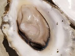 -千岛蚝高压锅生蚝·人参火锅(白云万达店)