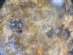 -草墩罗非鱼庄•野生菌•腊排骨(七星街上段店)