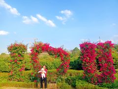 -东莞植物园