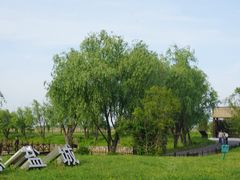 -盐城丹顶鹤湿地生态旅游区