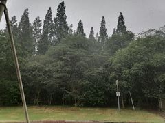 -东平国家森林公园