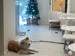 -YCHL Studios健身工作室(市二宫店)