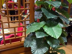 -芦月轩羊蝎子(劲松店)