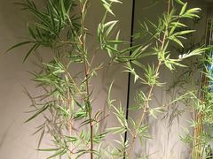 -绿茶餐厅(淮安吾悦广场店)