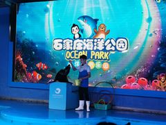 -石家庄海洋公园