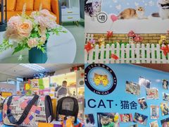 -lincat·猫舍(广州店)