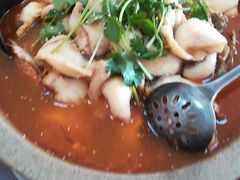 -蜀壹石锅鱼(见龙亭小区店)