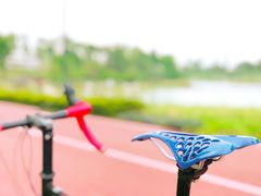 -白鹭湾湿地公园