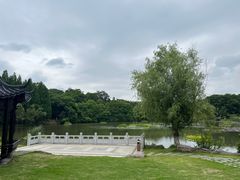 -天生桥景区