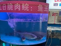 -红日饭店(裕隆三路店)