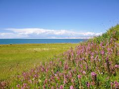 -青海湖国家重点风景名胜区