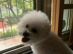 -美联众合动物医院·24h京西诊疗中心