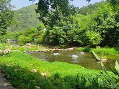 -武汉姚家山旅游景区
