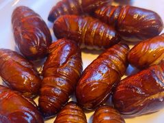 -杨记齐齐哈尔烤肉(总店)