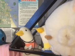 -谜语人真人演绎沉浸式密室实景游戏剧场