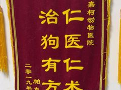 -嘉馨宠物医院·CT影像转诊·心脏科·犬猫全科诊疗中心(下沙大学城院区)