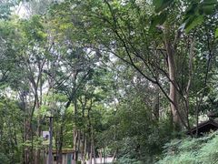 -攀枝花公园