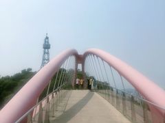 -金鸡山公园