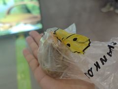 -南昌昌北国际机场