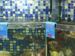 菜单-揭阳钟记小食(福田新村店)