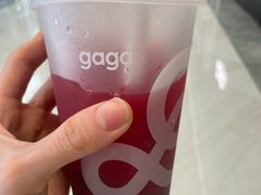 -gaga(金光华店)
