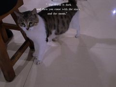 -夏家大锅台炖鱼馆