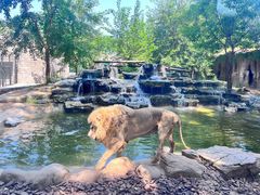 -北京野生动物园