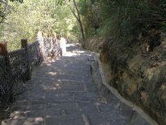 -广州白江湖森林公园