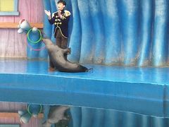 -华夏文旅海洋公园