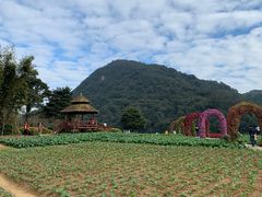 -广州市石门国家森林公园
