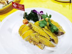 -新高记·粤菜·湛江鸡(南头古城店)