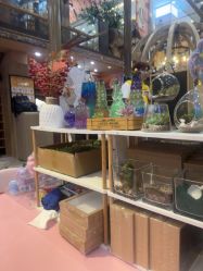 -卡通尼·Safari非洲探索乐园·生日会(金桥国际商业广场店)