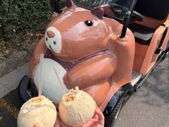 -杭州野生动物世界