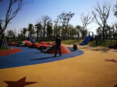 -春花秋色城市公园