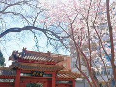 -桃花堤公园