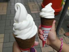 -富豪雪糕车流动点(尖沙咀店)